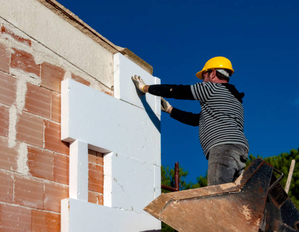 Best Fiberglass Insulation  in Plano, TX