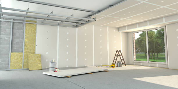 Best Insulation Contractor Near Me  in Plano, TX