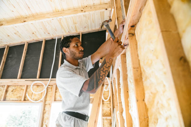 Best Spray Foam Insulation  in Plano, TX