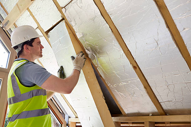 Best Insulation Removal  in Plano, TX